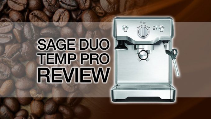 Sage Duo Temp Pro Review
