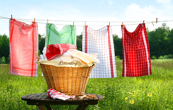 Retractable Washing Line Buyers Guide